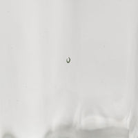 琉球ガラス工房 glass32 うずグラスロング(クリア) 琉球ガラス工房glass32 琉球ガラス