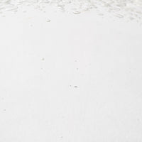 吹きガラス工房一星 ふち泡小鉢 吹きガラス工房一星 ガラスもの