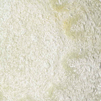 吹きガラス工房一星 泡モール皿 吹きガラス工房一星 ガラスもの