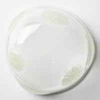 吹きガラス工房一星 泡水玉丸鉢(中) 吹きガラス工房一星 ガラスもの