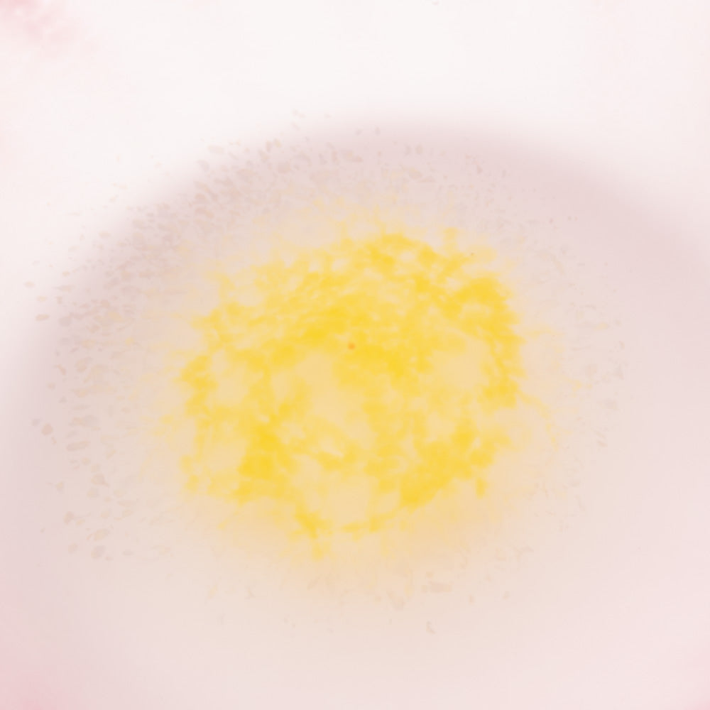 作家 栗原瑠璃華 蓮 カップ&ソーサーセット ガラス作家 栗原瑠璃華 ガラスもの