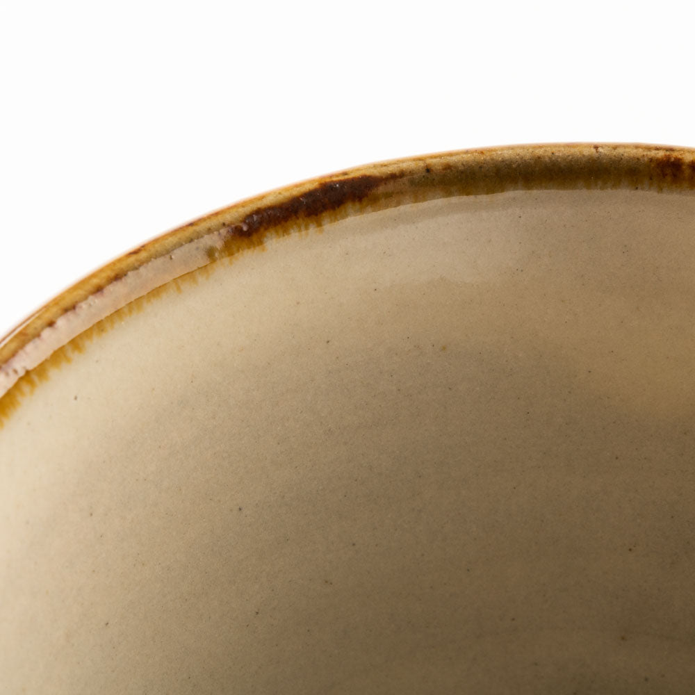 やちむん 陶眞窯 マグカップ 染付 ドット(アメオリベ) やちむん 陶眞窯 やちむん