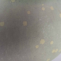 百々音momone mosgreen マロン 小 百々音momone 陶磁器作家もの