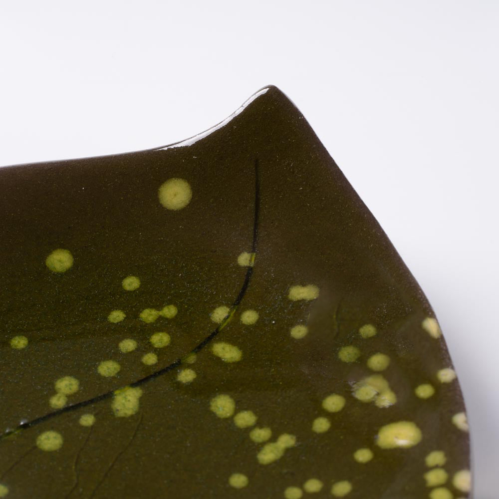 作家 タカハラユカ leaf plate dot kahki 作家 タカハラユカ 陶磁器作家もの