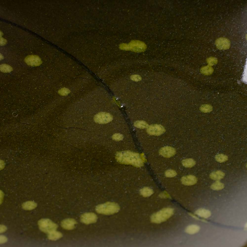 作家 タカハラユカ leaf plate dot kahki 作家 タカハラユカ 陶磁器作家もの