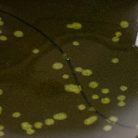 作家 タカハラユカ leaf plate dot kahki 作家 タカハラユカ 陶磁器作家もの