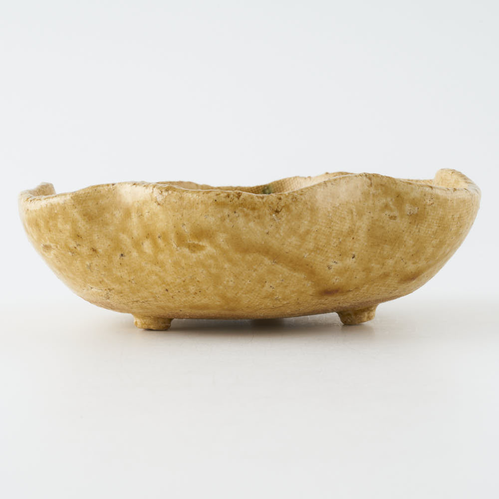 作家 棚橋淳 黄瀬戸 足付花型鉢 作家 棚橋淳 陶磁器作家もの