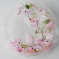 APLICO GLASS 枝垂桜硝子丸皿 APLICO GLASS ガラスもの