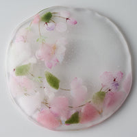 APLICO GLASS 枝垂桜硝子丸皿 APLICO GLASS ガラスもの