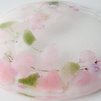 APLICO GLASS 枝垂桜硝子丸皿 APLICO GLASS ガラスもの