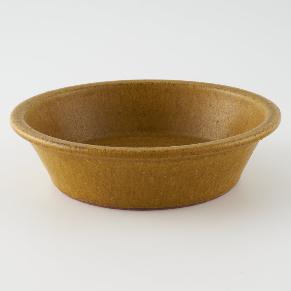 作家 長谷川哲也 浅鉢15cm(芥子) 作家 長谷川哲也 陶磁器作家もの