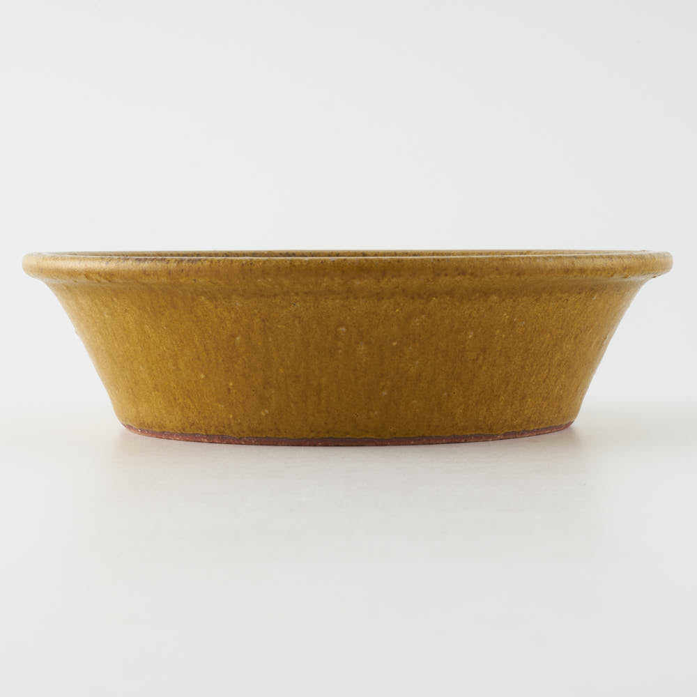 作家 長谷川哲也 浅鉢15cm(芥子) 作家 長谷川哲也 陶磁器作家もの