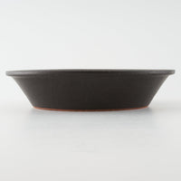 作家 長谷川哲也 浅鉢21cm(黒) 作家 長谷川哲也 陶磁器作家もの