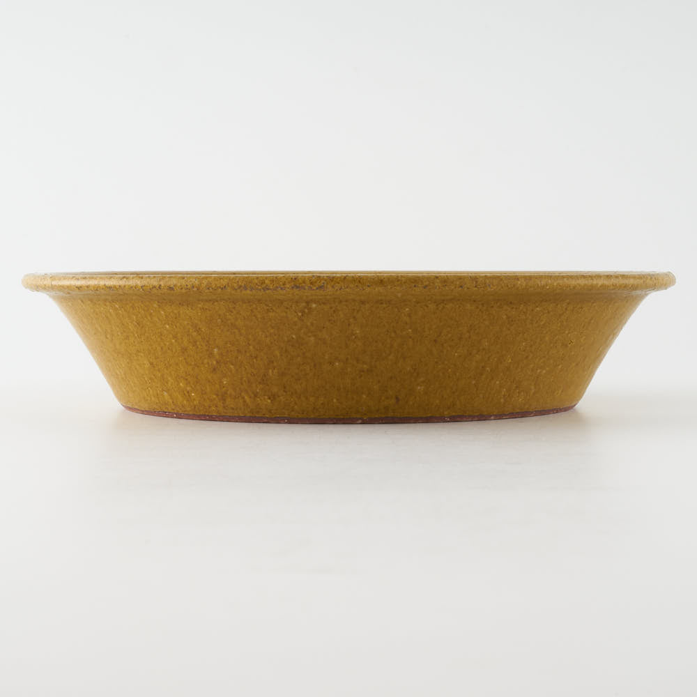 作家 長谷川哲也 浅鉢21cm(芥子) 作家 長谷川哲也 陶磁器作家もの