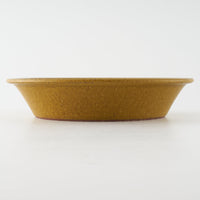 作家 長谷川哲也 浅鉢21cm(芥子) 作家 長谷川哲也 陶磁器作家もの