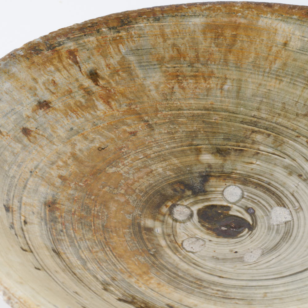 作家 額賀円也 刷毛目 七寸 浅鉢