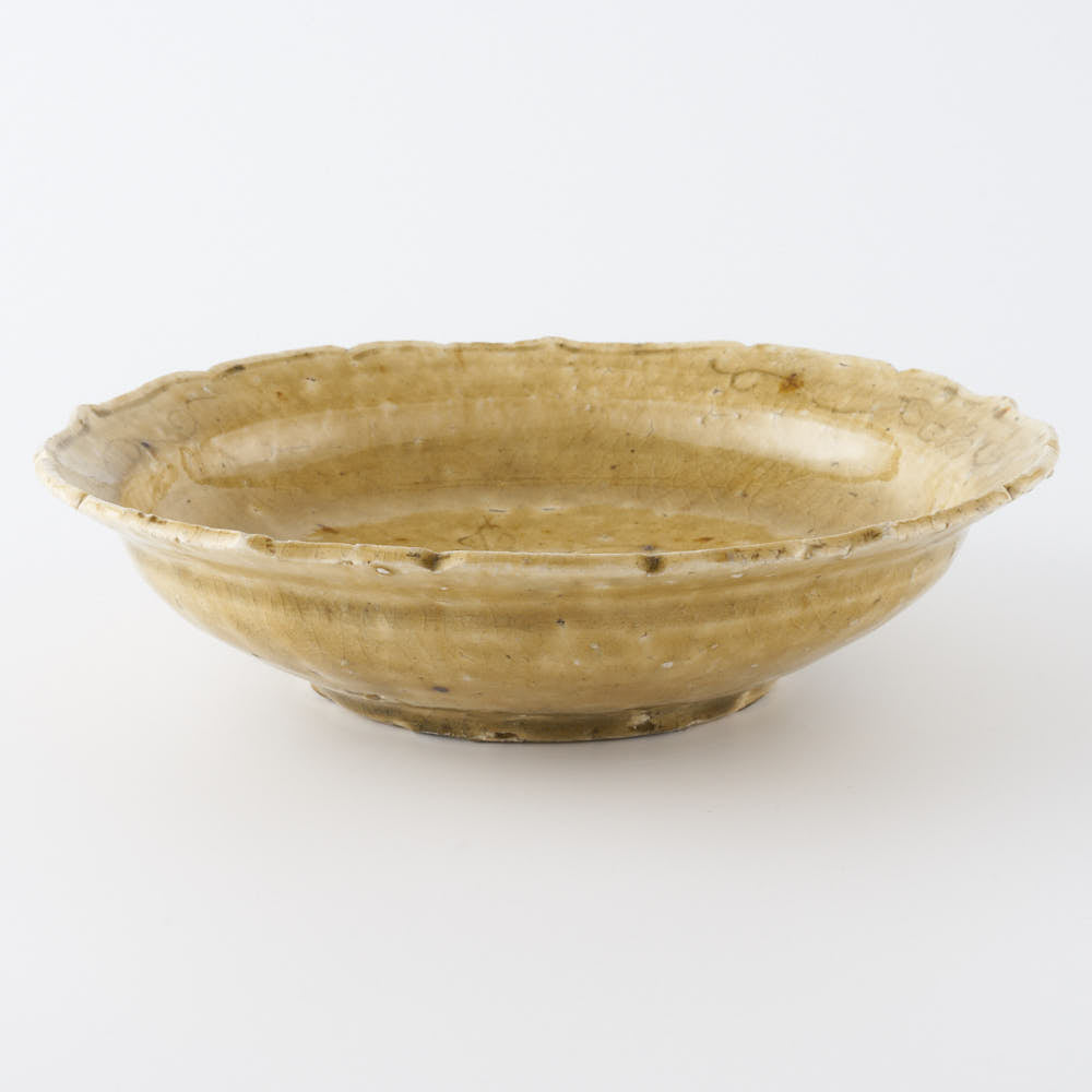 作家 額賀円也 灰釉 七寸浅鉢 ビーツ