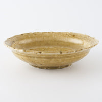 作家 額賀円也 灰釉 七寸浅鉢 ビーツ