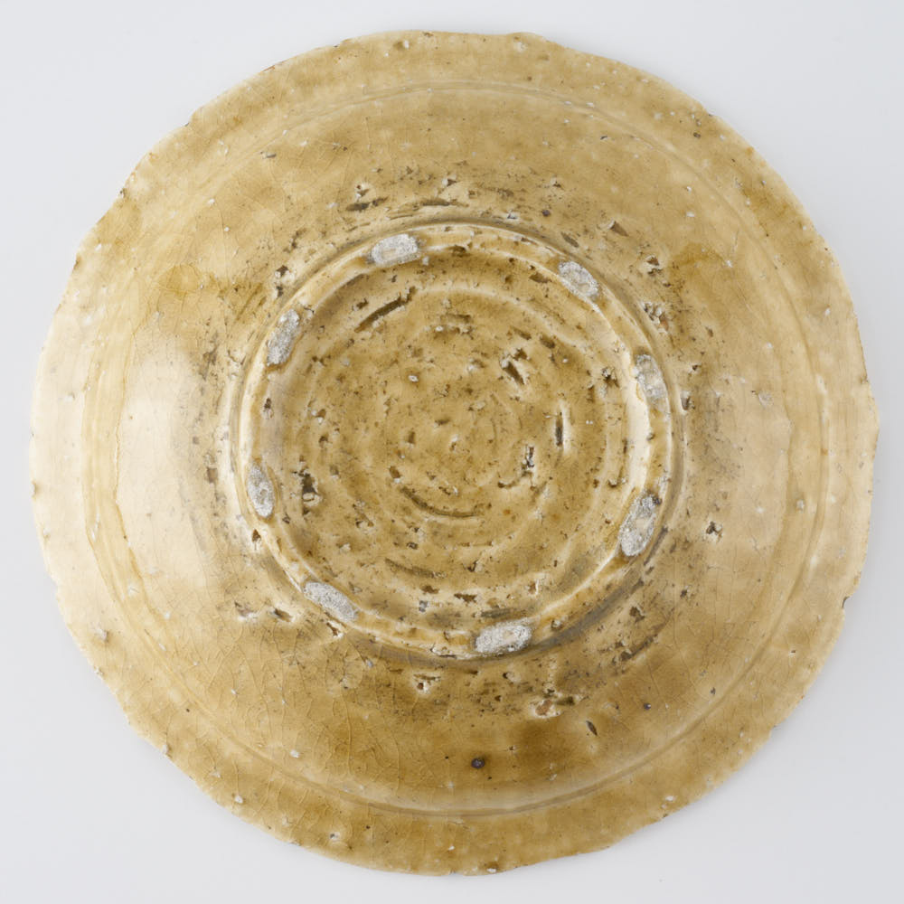 作家 額賀円也 灰釉 七寸浅鉢 ビーツ