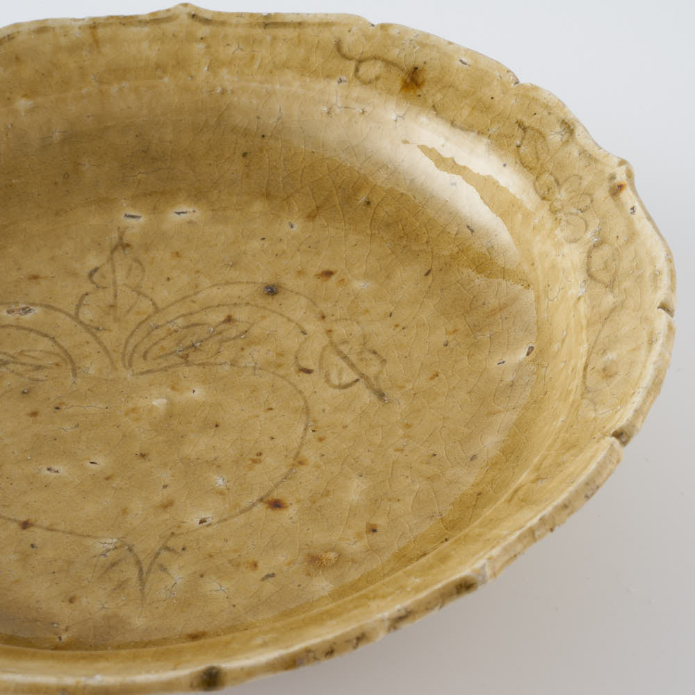 作家 額賀円也 灰釉 七寸浅鉢 ビーツ