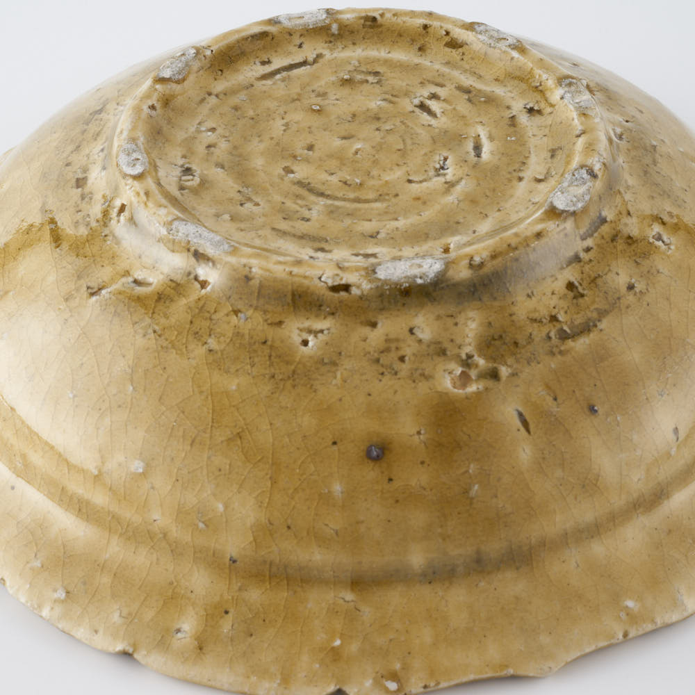 作家 額賀円也 灰釉 七寸浅鉢 ビーツ