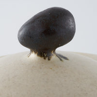 作家 児玉修治 キャセロール 白 作家 児玉修治 陶磁器作家もの