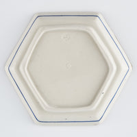 作家 中西申幸 鳥遊戯画 六角五寸皿ソレイユ 作家 中西申幸 陶磁器作家もの