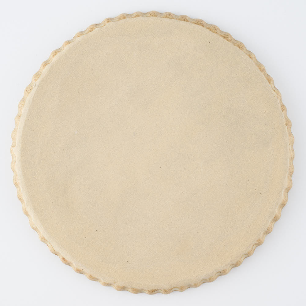 作家 田中遼馬 なみなみプレート195mm/ペンギン/コーラルピンク 苔色工房 陶磁器作家もの