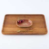 作家 田中遼馬 長八角小皿/ウサギ/コーラルピンク 苔色工房 陶磁器作家もの