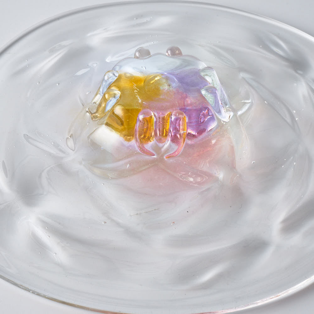 ガラス作家 佐藤望美 knit-kaleidoscope- 皿 ピンク ガラス作家 佐藤望美 ガラスもの