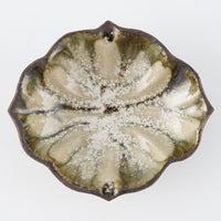 作家 藤原純 シェル豆鉢 白 信楽焼 古仙堂 陶磁器作家もの