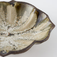 作家 藤原純 シェル豆鉢 白 信楽焼 古仙堂 陶磁器作家もの