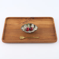 作家 藤原純 シェル豆鉢 白 信楽焼 古仙堂 陶磁器作家もの