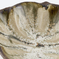 作家 藤原純 シェル豆鉢 白 信楽焼 古仙堂 陶磁器作家もの