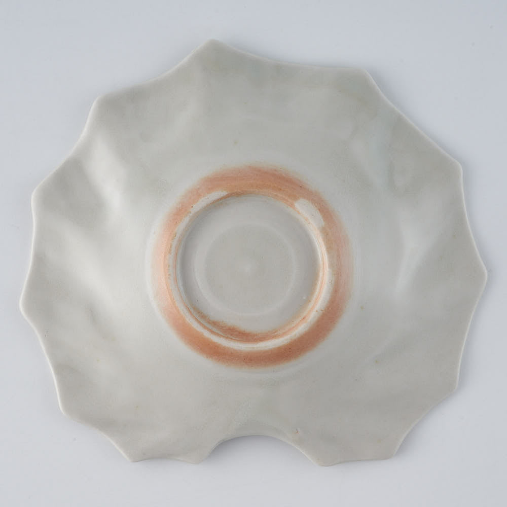 作家 前田麻美 灰青釉 石蕗の葉 四寸皿