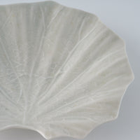 作家 前田麻美 灰青釉 石蕗の葉 四寸皿