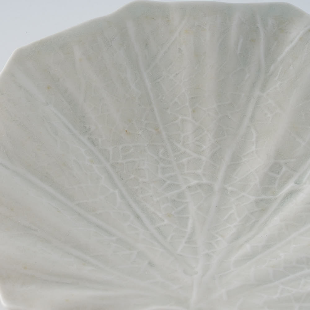 作家 前田麻美 灰青釉 石蕗の葉 四寸皿