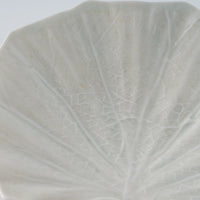 作家 前田麻美 灰青釉 石蕗の葉 四寸皿