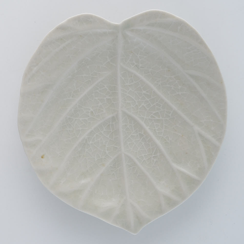 作家 前田麻美 灰青釉 ウンベラータ 五寸皿