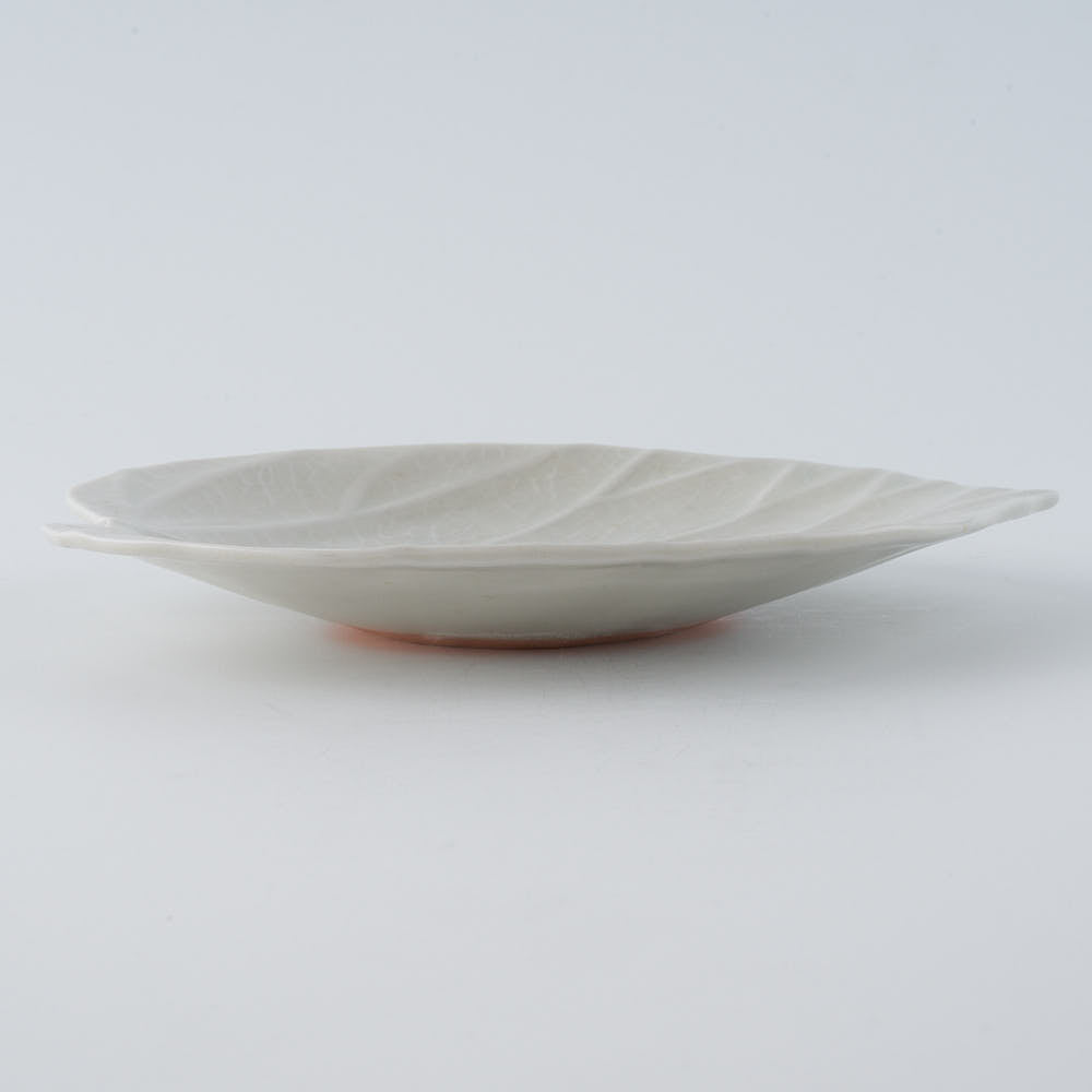 作家 前田麻美 灰青釉 ウンベラータ 五寸皿