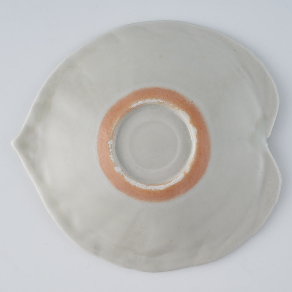 作家 前田麻美 灰青釉 ウンベラータ 五寸皿