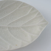 作家 前田麻美 灰青釉 ウンベラータ 五寸皿