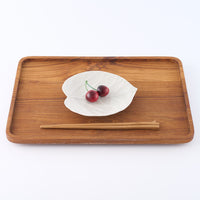 作家 前田麻美 灰青釉 ウンベラータ 五寸皿