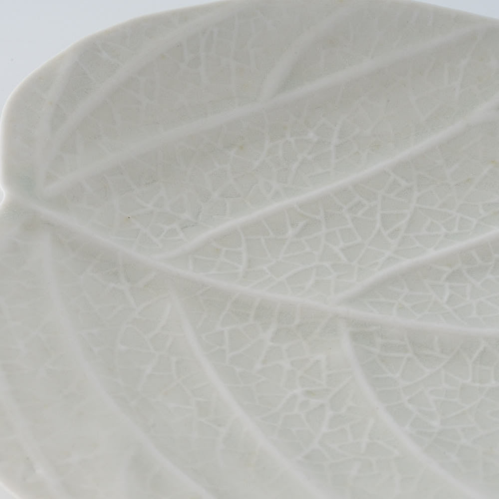 作家 前田麻美 灰青釉 ウンベラータ 五寸皿