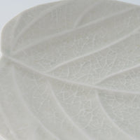 作家 前田麻美 灰青釉 ウンベラータ 五寸皿