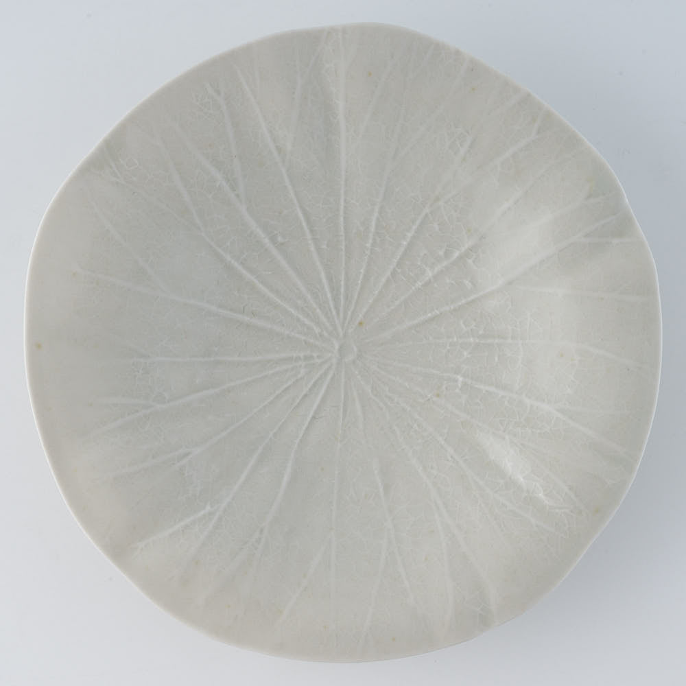 作家 前田麻美 灰青釉 蓮の葉 六寸皿 作家 前田麻美 陶磁器作家もの