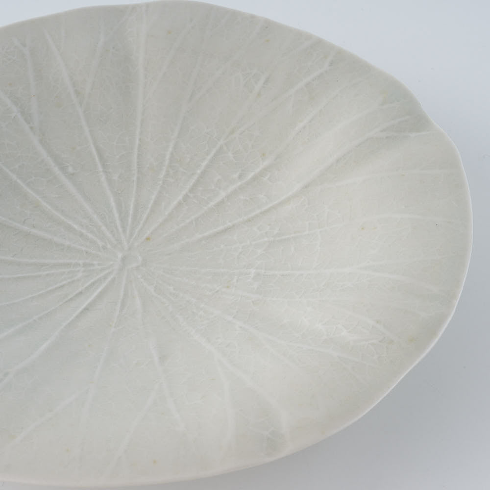 作家 前田麻美 灰青釉 蓮の葉 六寸皿 作家 前田麻美 陶磁器作家もの