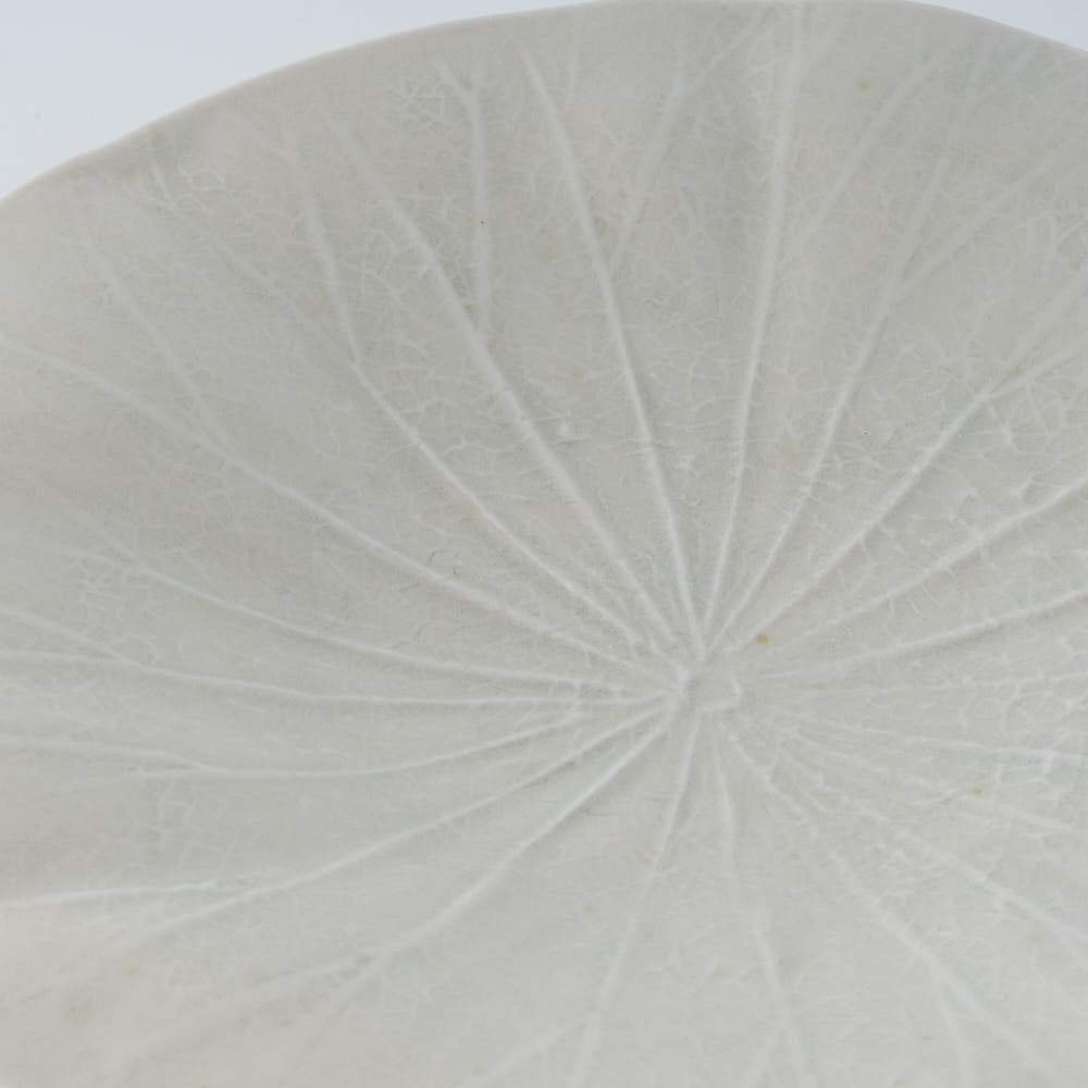 作家 前田麻美 灰青釉 蓮の葉 六寸皿 作家 前田麻美 陶磁器作家もの