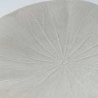 作家 前田麻美 灰青釉 蓮の葉 六寸皿 作家 前田麻美 陶磁器作家もの