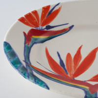 作家 武田朋己 おかずプレート 極楽鳥花